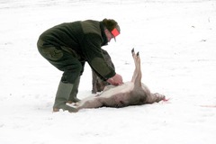 Killikus&reg; Fotographie